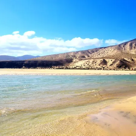 Apartament Casa Viola *