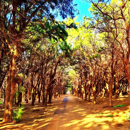 Casa Viola Appartamento