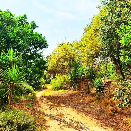 Casa Viola * Κόστα Κάλμα